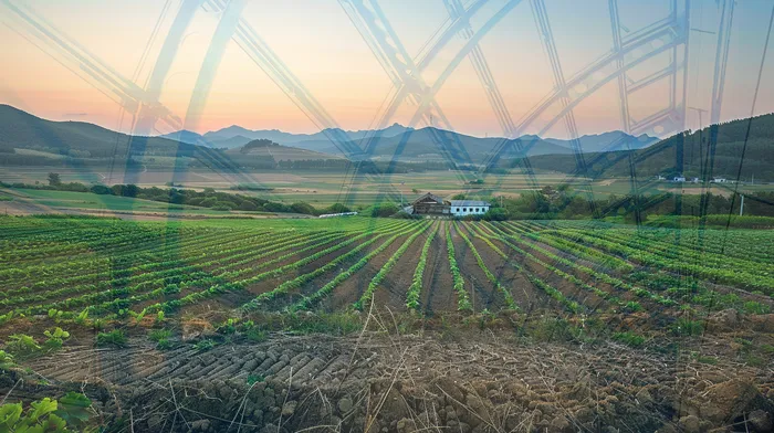 채무 해결 방법